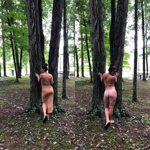 Casual stop at a rest area