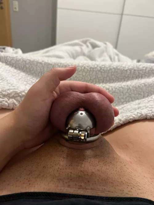 Day 3, As promised daily updates. I am incredible horny and last night was hard