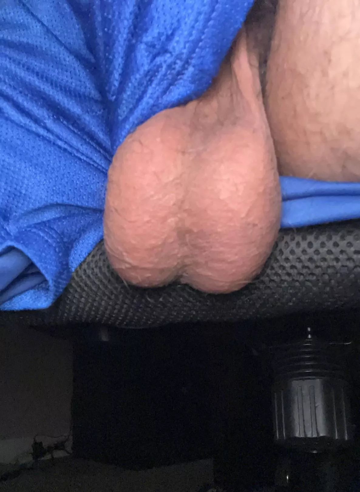 Gotta let them breathe while I work from work