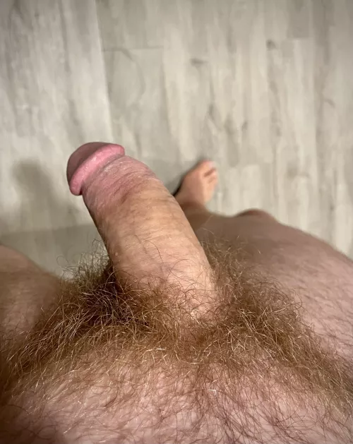 I haven’t trimmed in about a year. I love my bush.