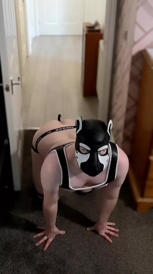 I wore my pup gear in front of another person for the first time. So much fun!