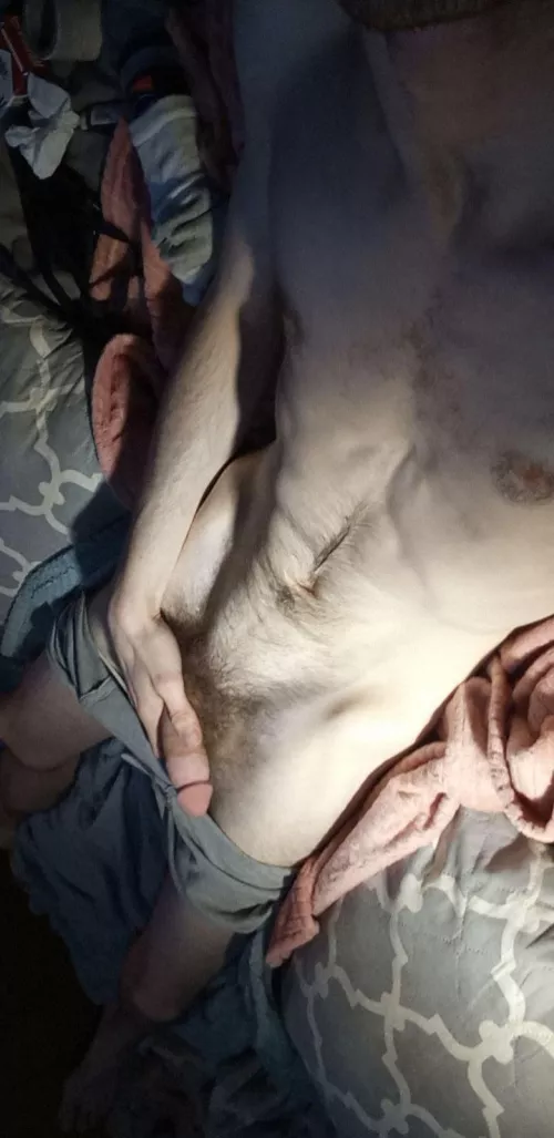 the monster hiding behind the bush