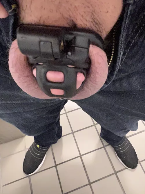 Wifey said I was too small for my other cage. Now I feel squished.