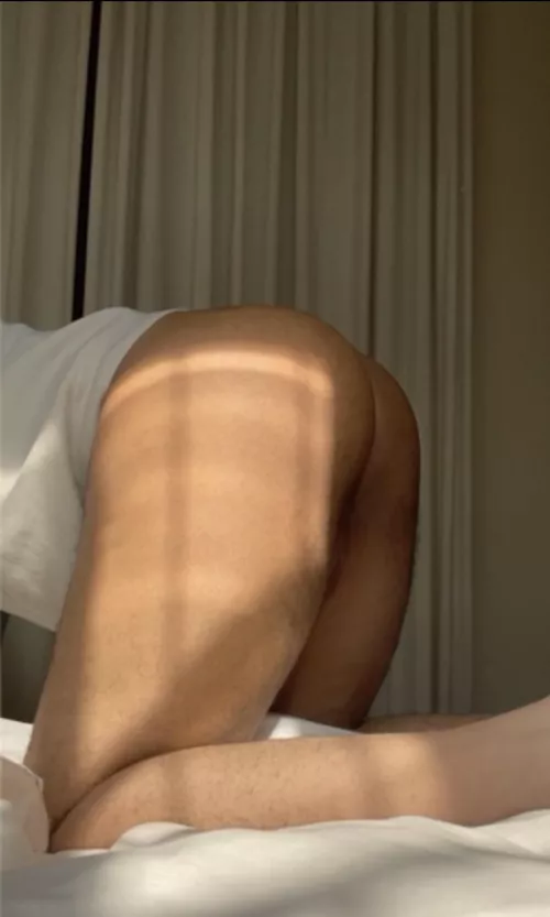 19 Bottom looking to get bred hmu to trade and chat