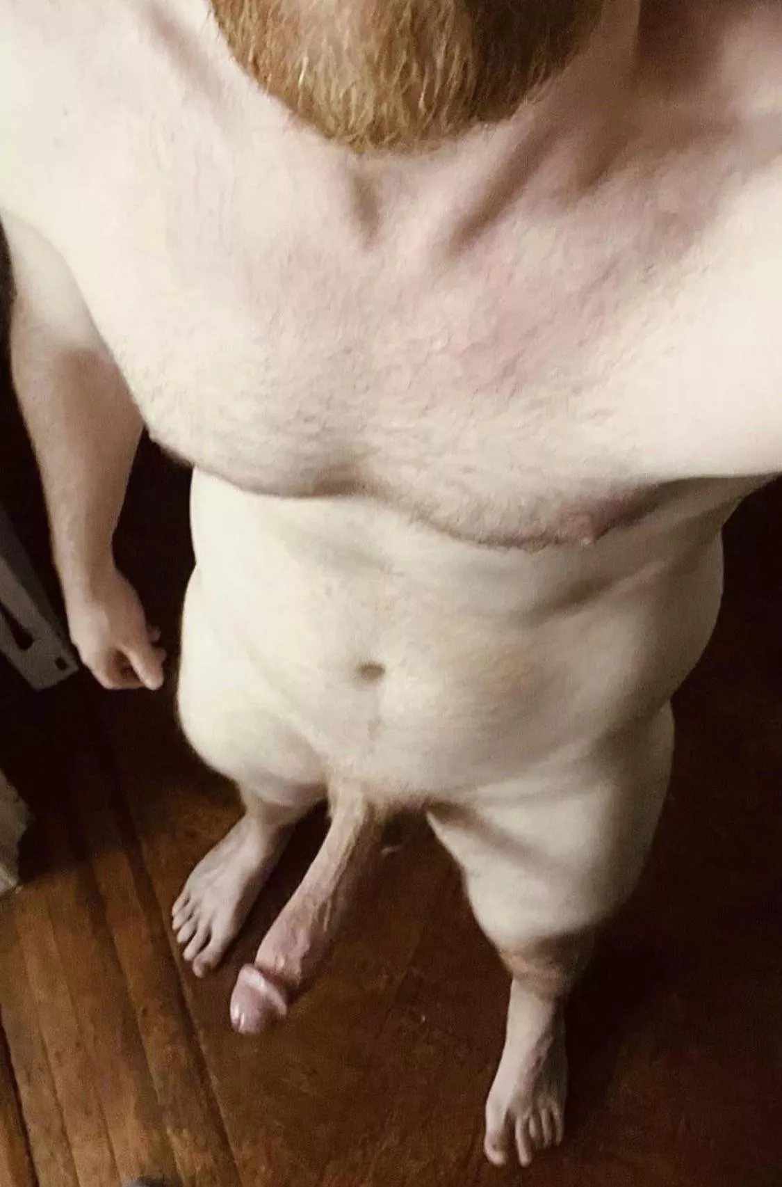 6’4 ginger at your service