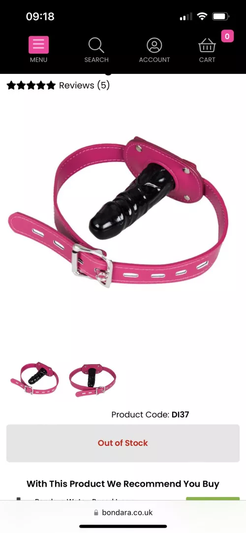 Any girls on here with dildo gags?