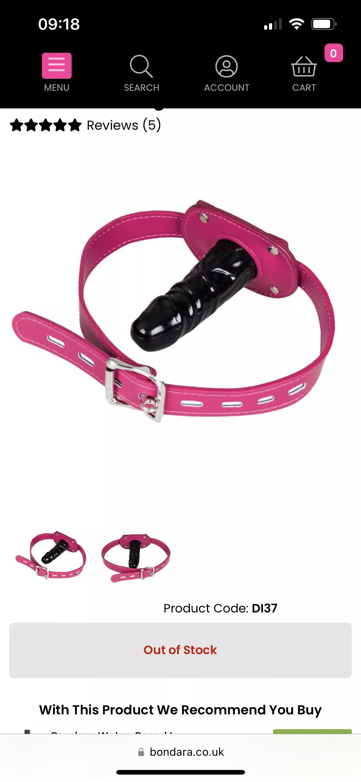 Any girls on here with dildo gags?