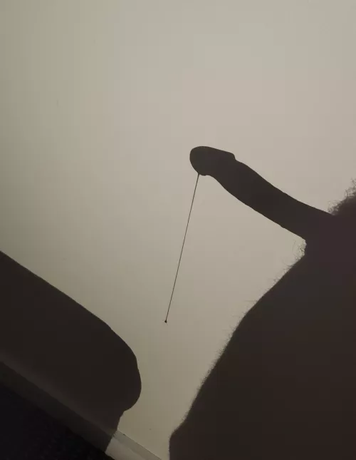 Anyone Want a Ride My Rope Swing?