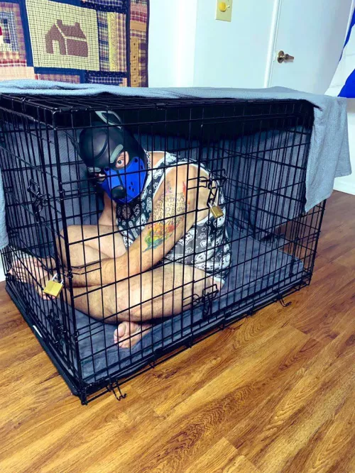 Apparently I was a bad boy 🥺🐾🐶 Should someone let me out?