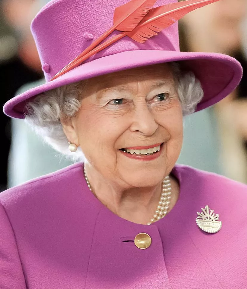 Can someone cover this slut for me?