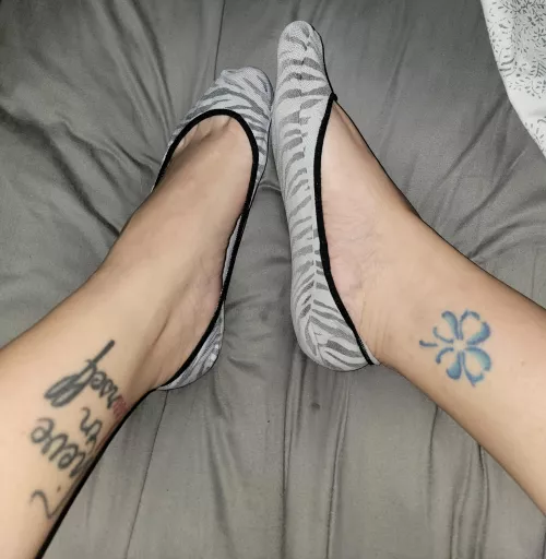 Comfy AND zebra print? Yes please![F]