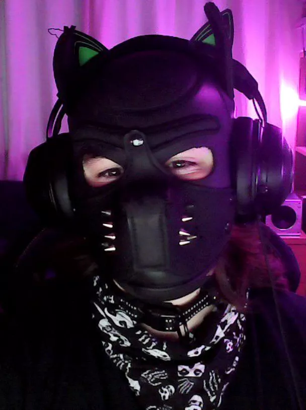 Just a silly little gamer pup