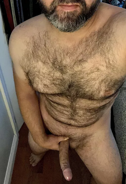 My beard is slowly getting covered in grey, and I’d love slide my boner inside you all day.