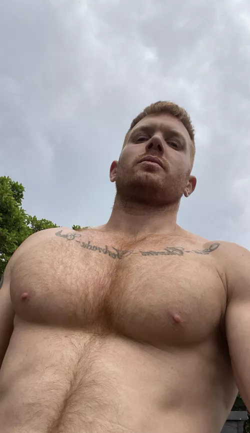 Reposting without the link, last one got removed