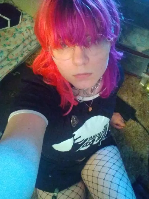 say hi if i'm cute enough for you = ^ w ^ =