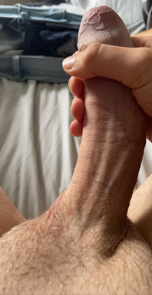Who would like some of my British cock this morning? 😉