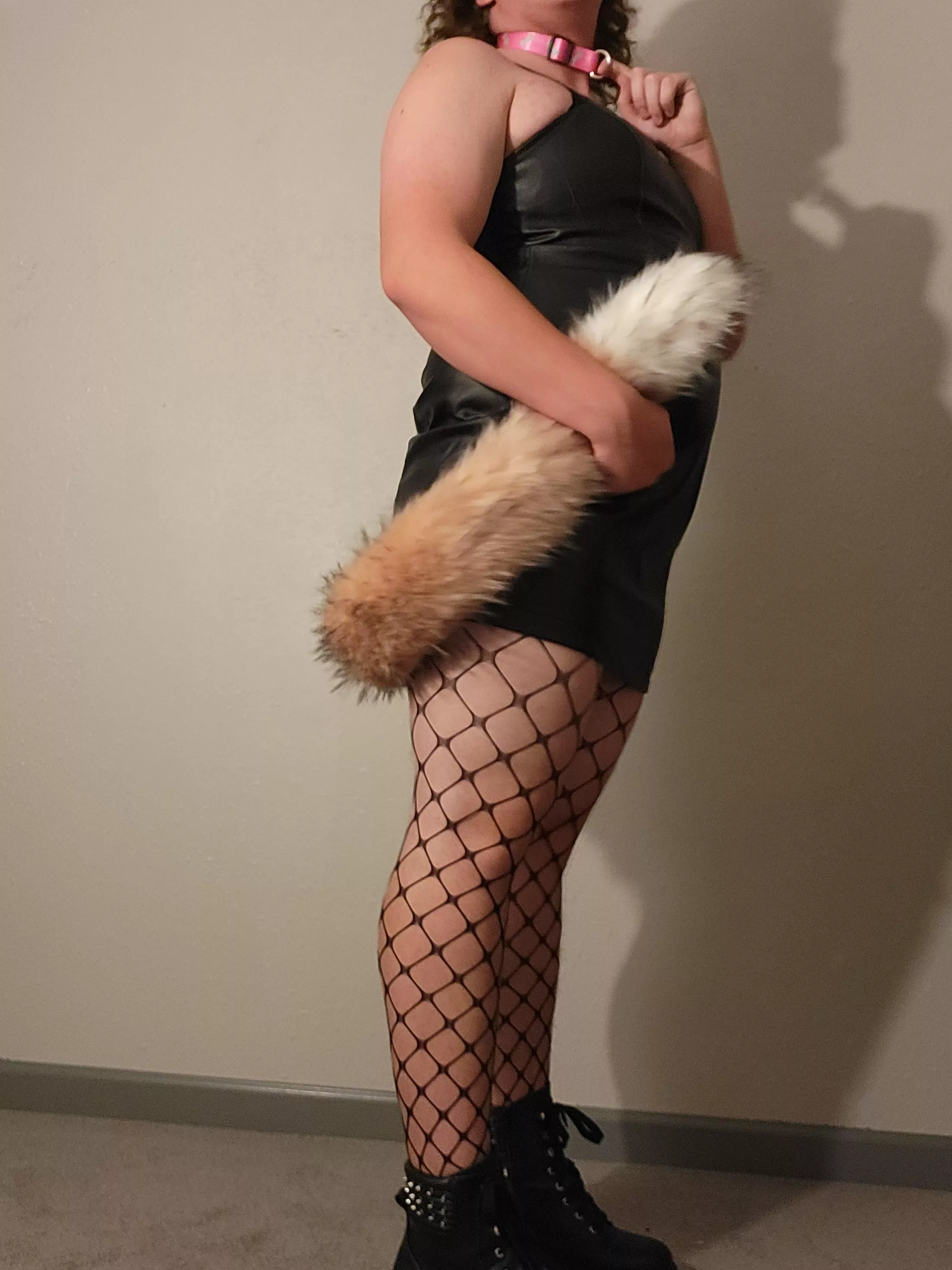 Goth Kitty needs an owner to leash him 🥺