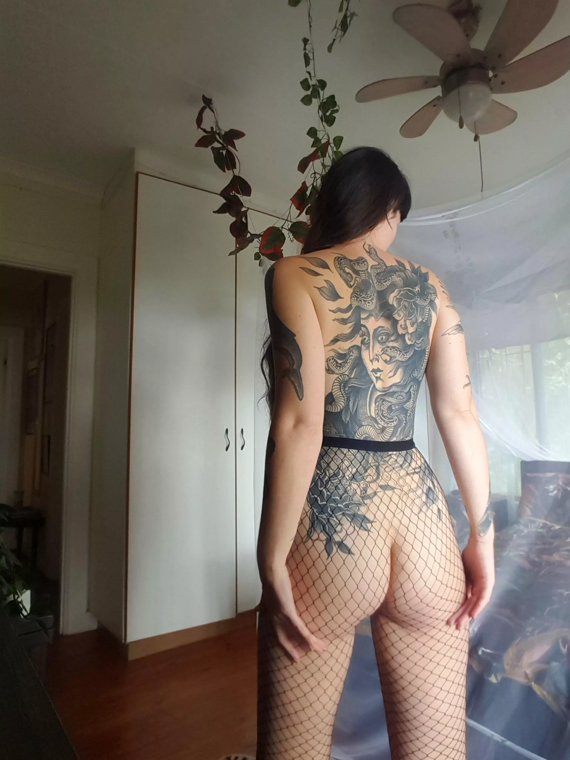 If you stare too long, you'll be turned to stone 🐍