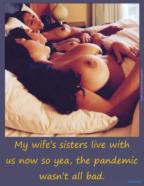 [inlaw] Harem scarem.