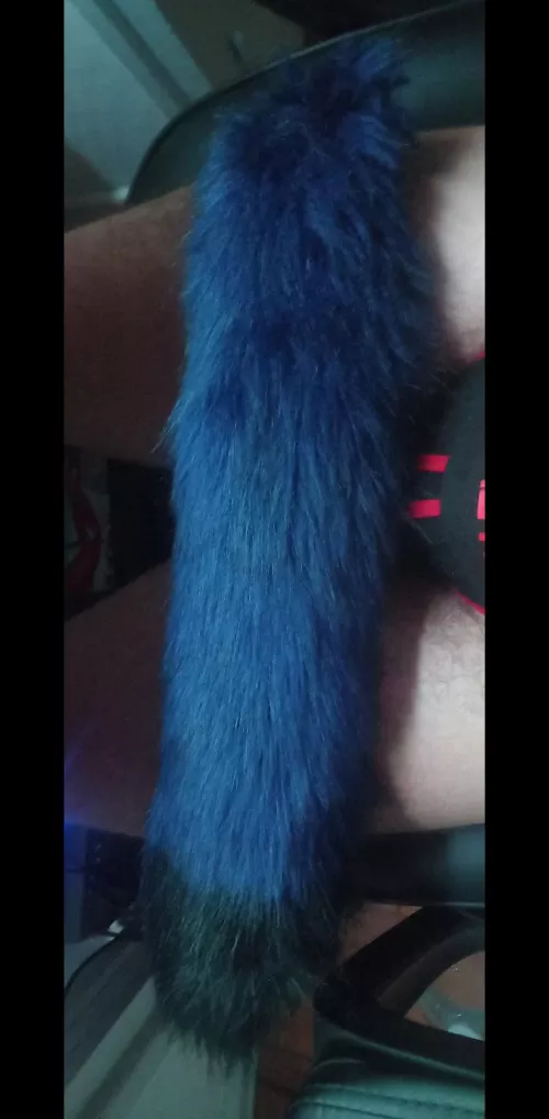 My Wolf tail i love it. Yes we can see my jockstrap