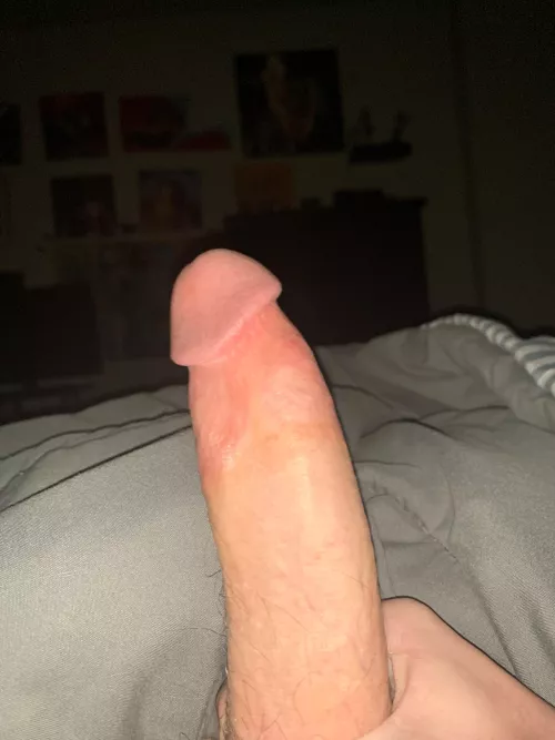 [19] average or big?