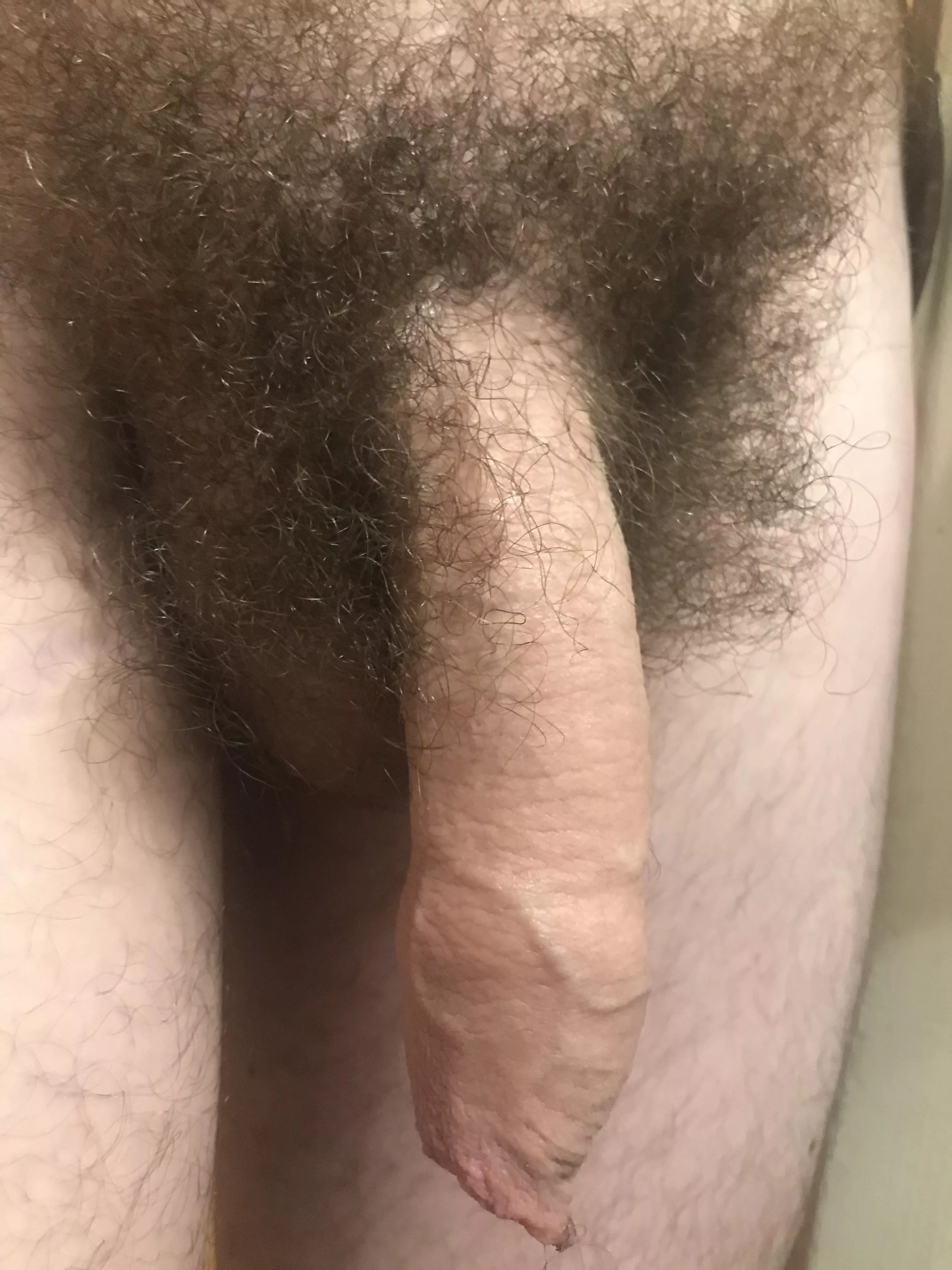 A full foreskin and a bush of pubes. A way the penis was intended!