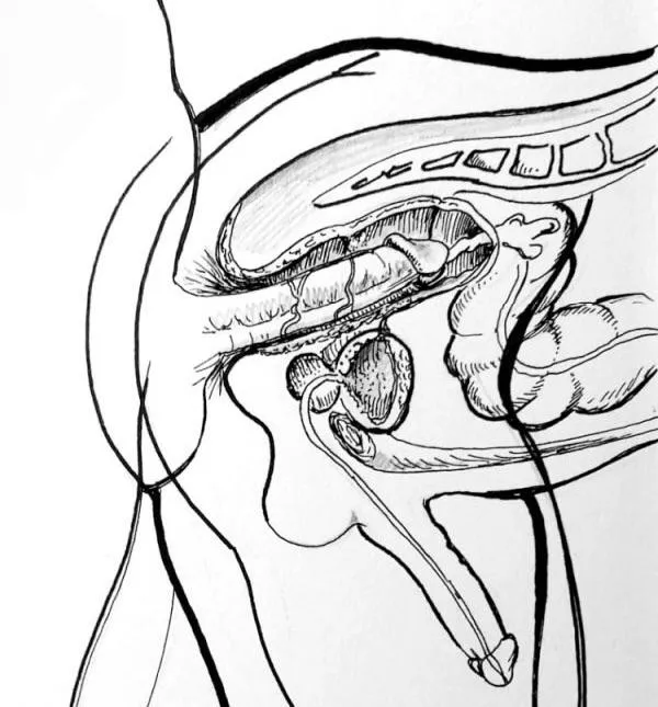 “Bareback looks like this” …