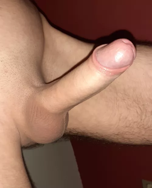 Do you like this 19yo cock? 🤔