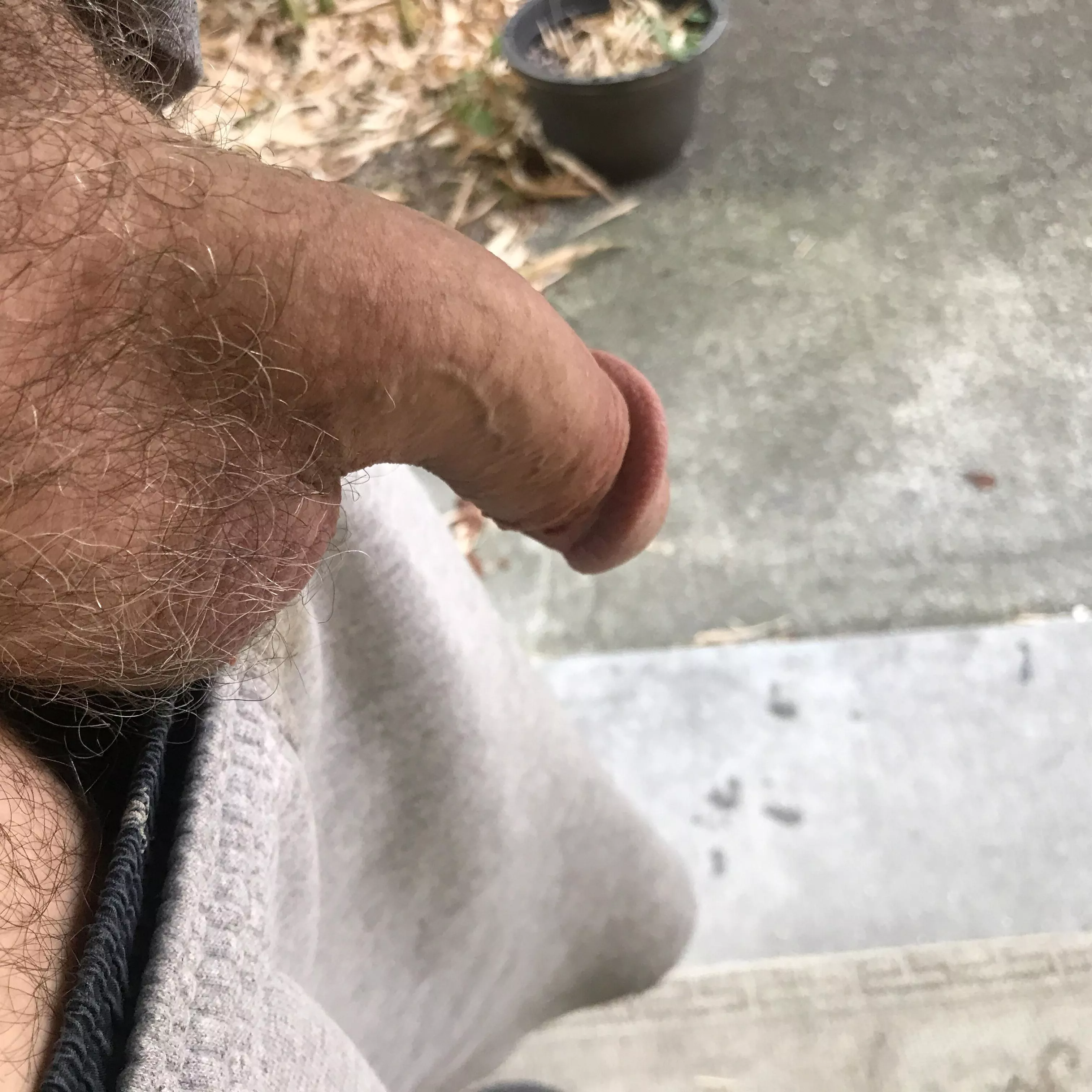 It’s smoky in #Seattle why don’t you smoke my pole?