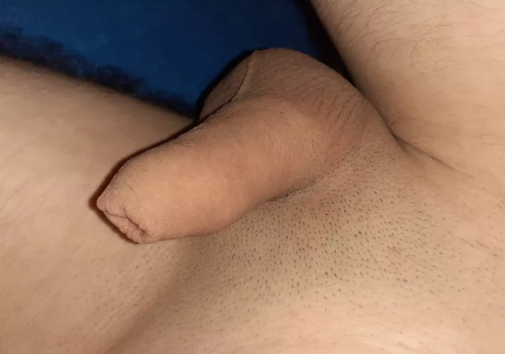 Just a bed softie 🙃