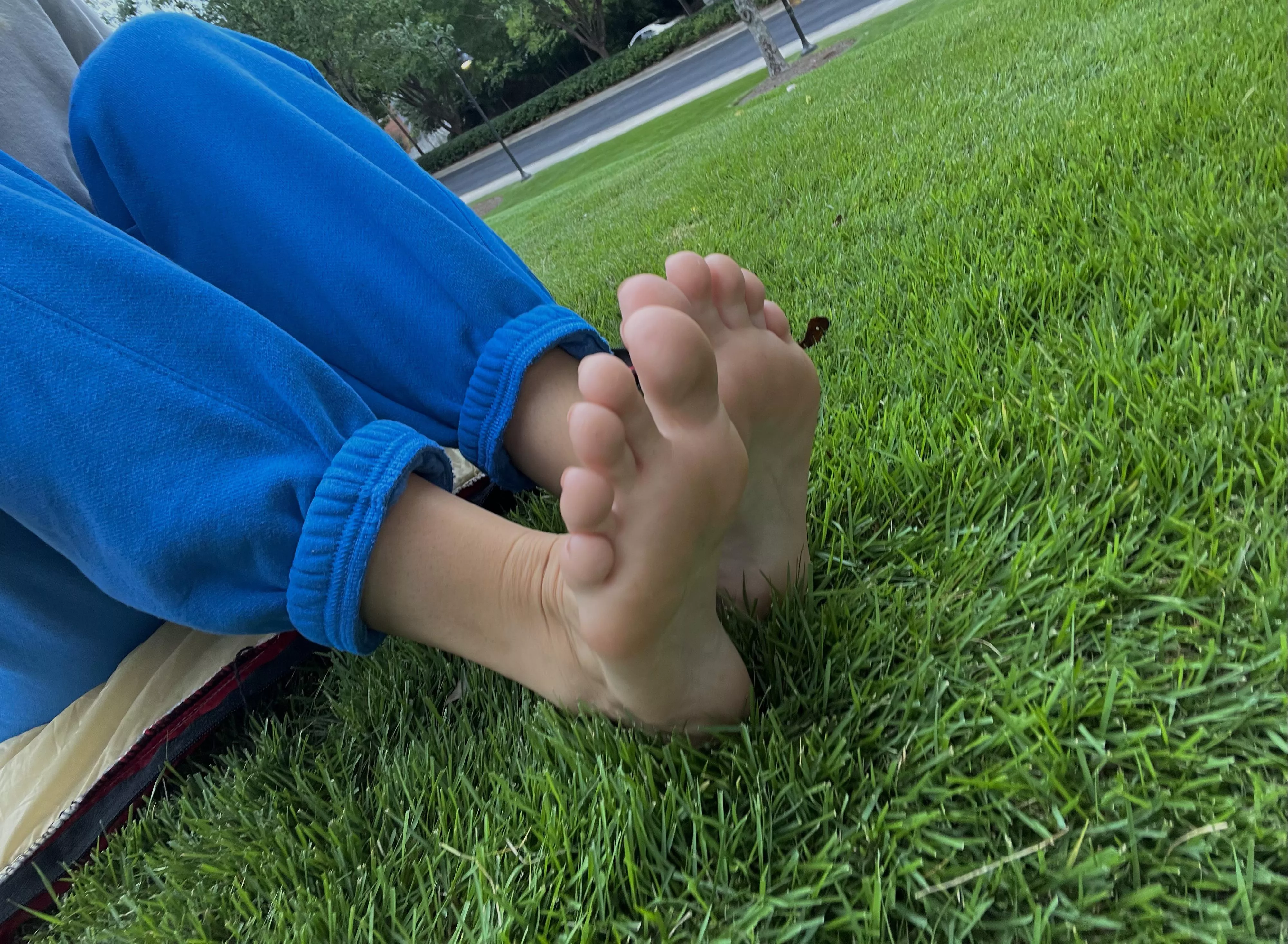 Lil soles playing in the grass✨