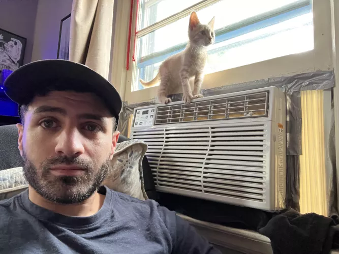 We both a couple of strays trying to make it in this mad mad world