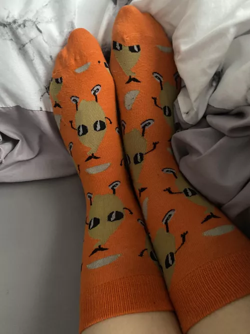 Can you please take off my stinky socks for me?