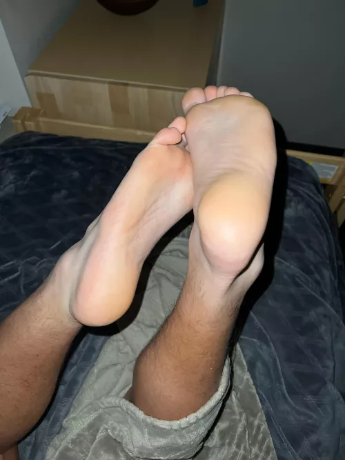 I need someone to lick and worship these size 14 feet! Message me 😈