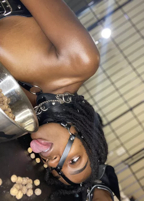 Mmm master…this doesn’t taste like my normal puppy food 🤔