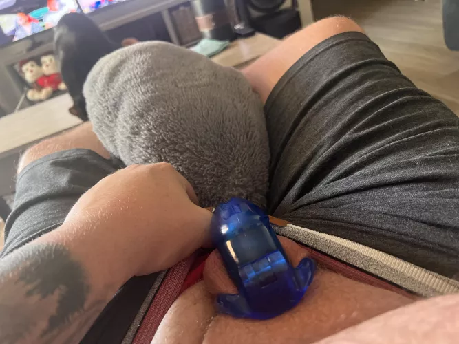 I’d like to squeeze one out but unfortunately I can’t !!