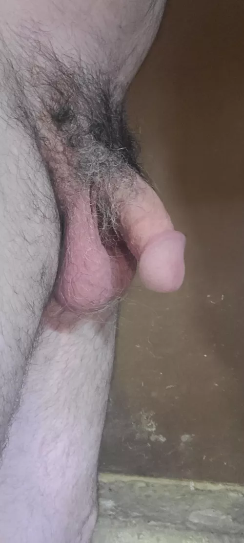 married soft cock the evening, hanging out in the barn. 42