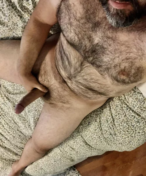 My beard is soft, but my boner is not, so climb on top, and show me what you’ve got.