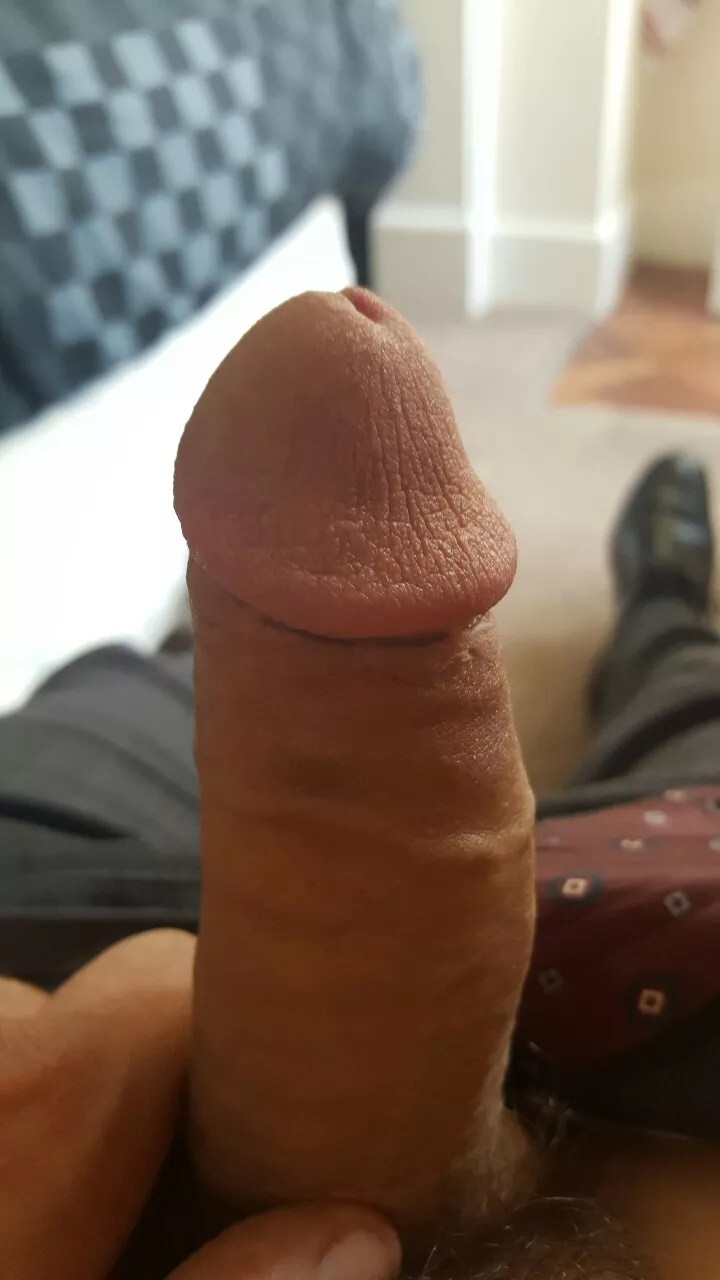 my cut cock