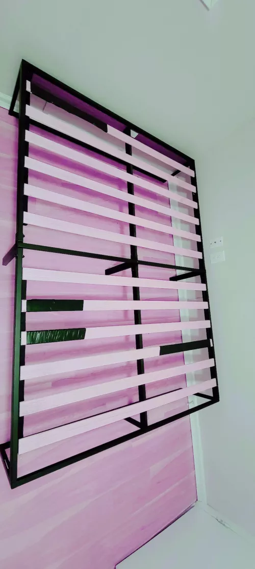 so I'm on my morning stroll around my neighborhood today, and I come across this bed frame sitting on the curb being thrown out. So naturally I go back for it, lug it home over my shoulders, fixed it up, and it will now be used for bondage and tickling.