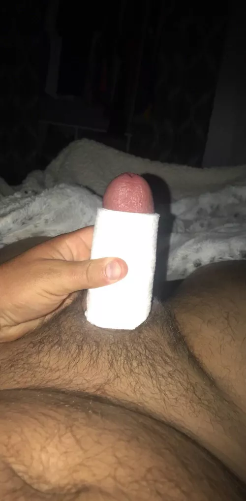 29yo dude… this is me completely hard compared to a roll of toilet paper. like this if your dick is bigger and if you wanna compare i would love to exchange pics or videos so message me here or for my kik! 😈🥵