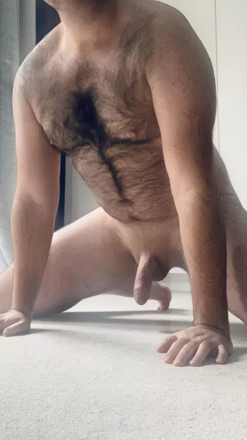 [30] how would I look collared and leashed living as your pet?