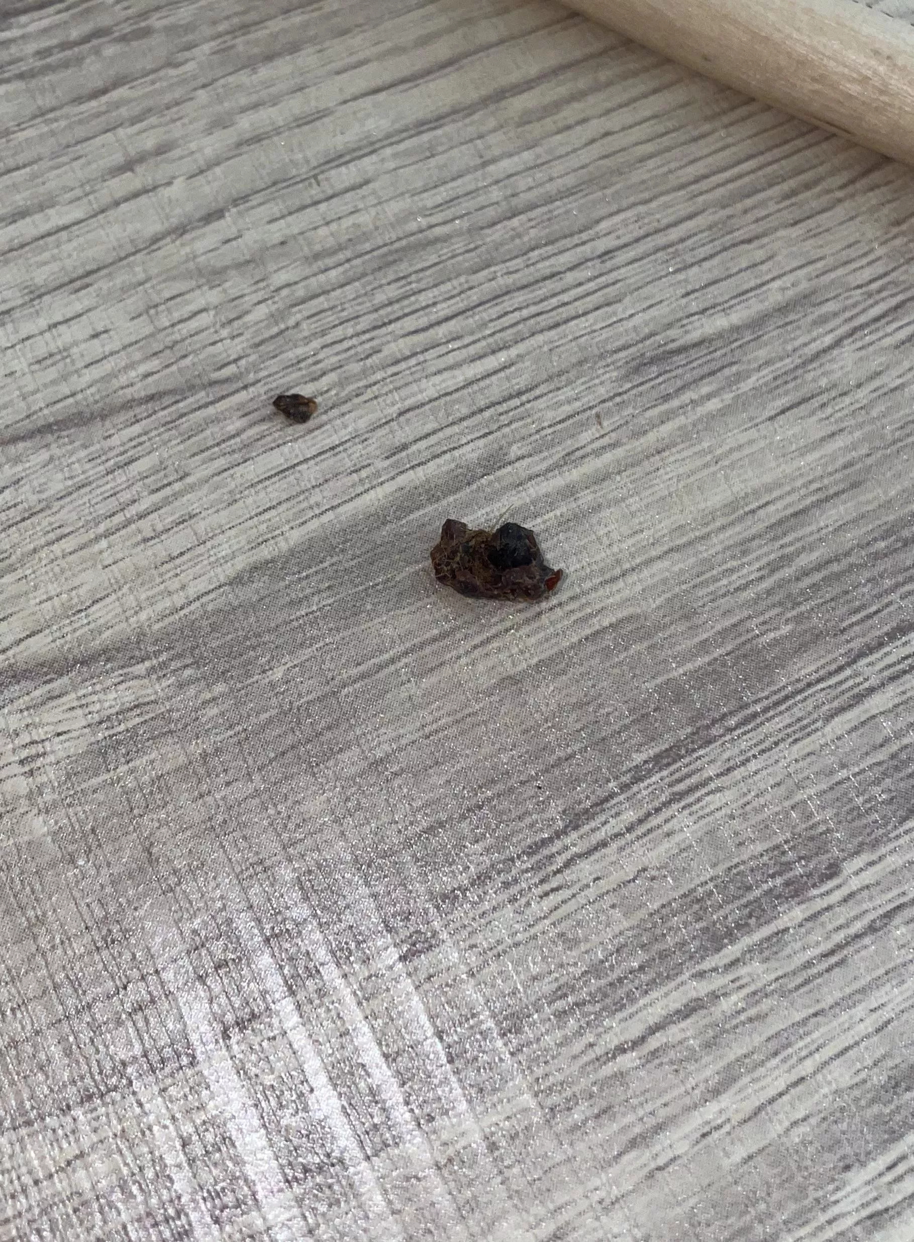 i pulled this chunk of earwax out of my ear today