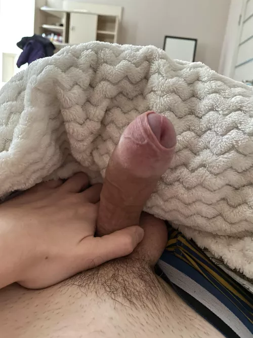 Like my veiny foreskin? 😏