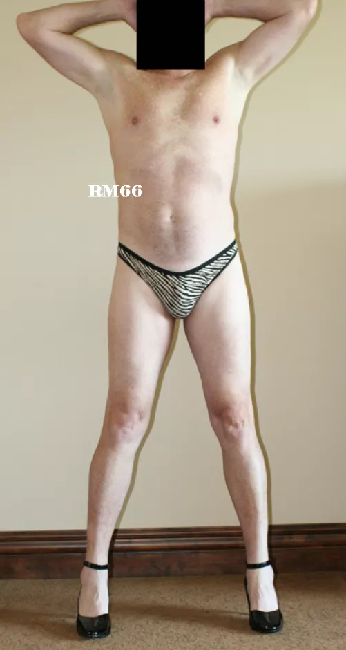 Maidenform signature cotton thong