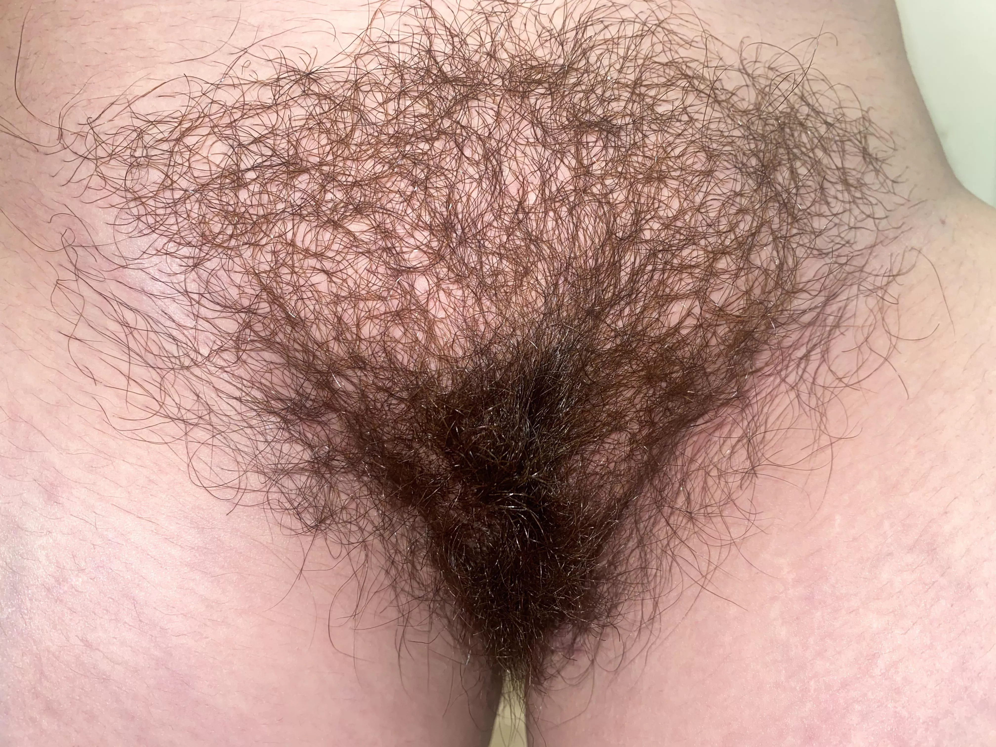 Should I keep growing it out or trim it?👀