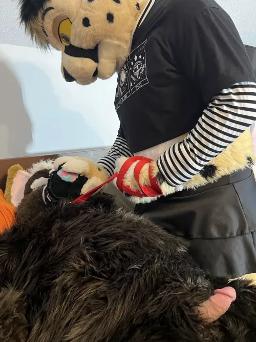 Sometimes even good dogs need a cat to show em who’s boss ;)