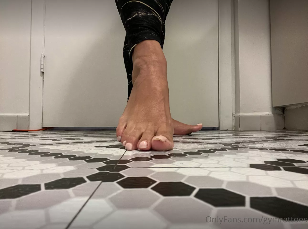 The human foot is a masterpiece of engineering and a work of art.