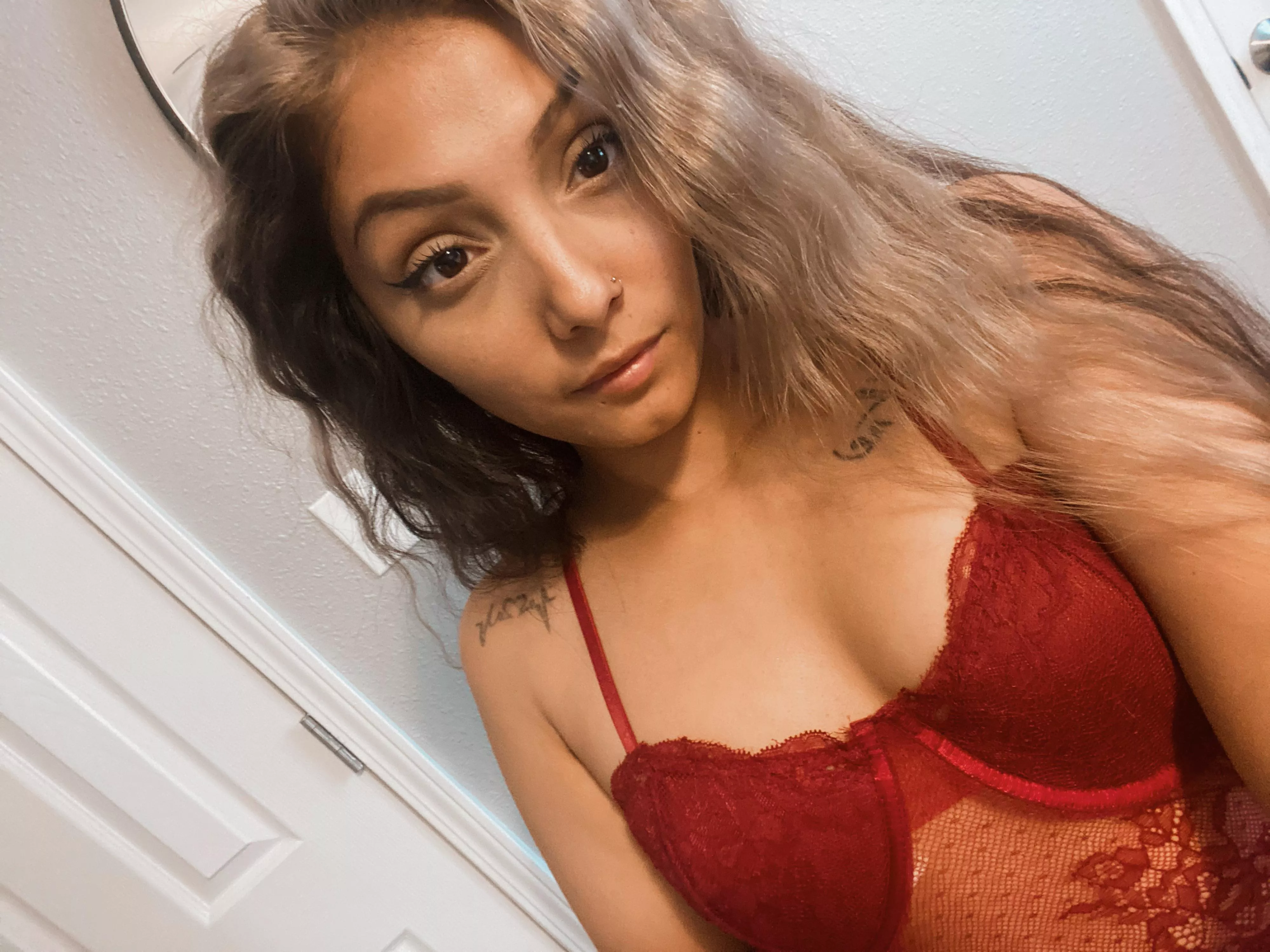 Would you breed me ?