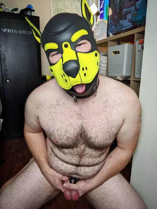 Beat my balls please?